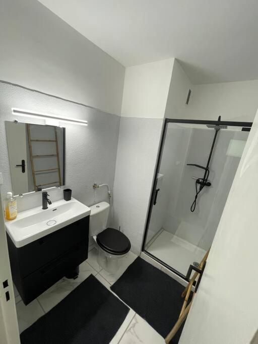 Au Cosy Ii Proche Europapark Apartment *